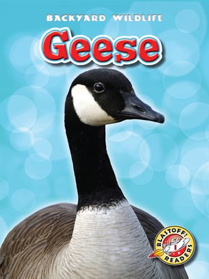 cover image of Geese